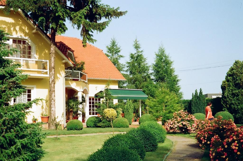 Villa Hedi دوناكيليتي المظهر الخارجي الصورة
