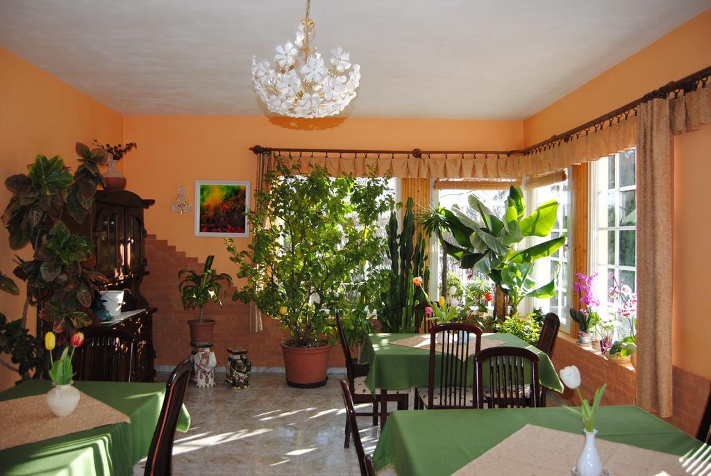 Villa Hedi دوناكيليتي المظهر الخارجي الصورة