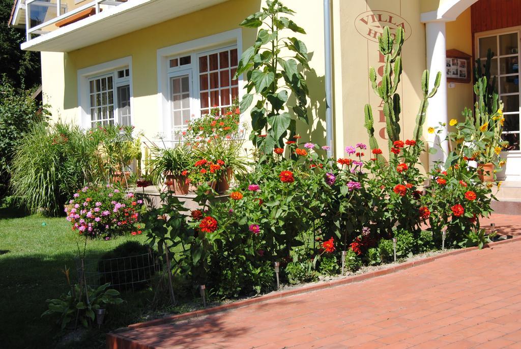 Villa Hedi دوناكيليتي المظهر الخارجي الصورة